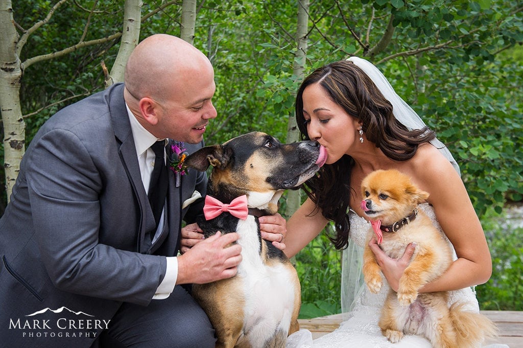 Mark Creery fort collins wedding photography